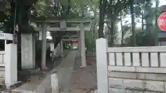 自由が丘熊野神社の鳥居