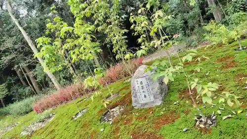 賀茂御祖神社（下鴨神社）(京都府)