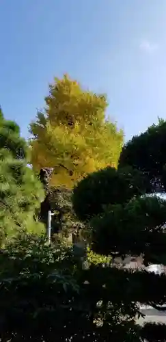 青砥神社の自然