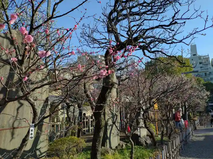 亀戸天神社(東京都)