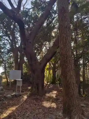愛宕神社(渕ノ上)(宮城県)