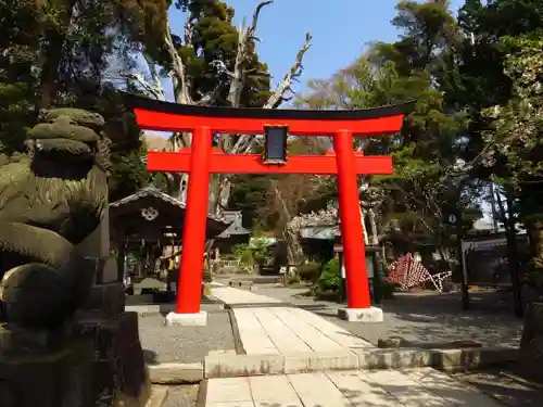 伊古奈比咩命神社の鳥居