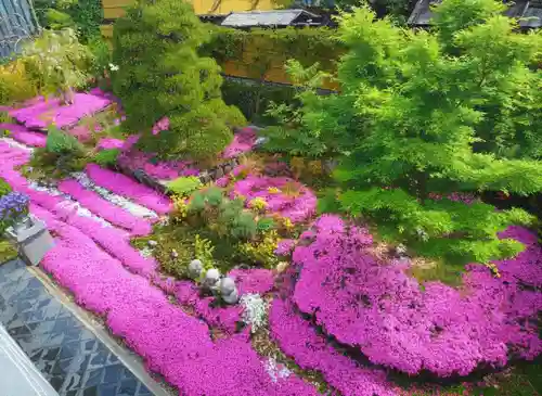 寿量山　速成寺(奈良県)