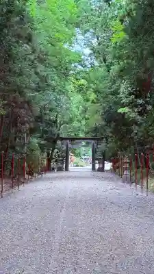 大和神社(奈良県)