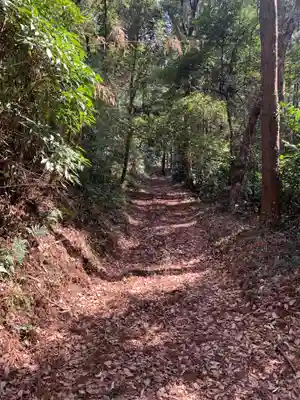大日天子(千葉県)