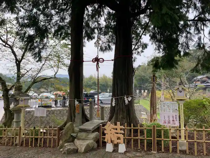 武雄神社(佐賀県)