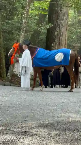 伊勢神宮内宮（皇大神宮）の{uncategorized: "未分類", other: "その他", undefined: "問題あり", building: "その他建物", grave: "お墓", sacred_gate: "鳥居", guardian: "狛犬", statue: "像", buddha: "仏像", history: "歴史", nature: "自然", garden: "庭園", animal: "動物", pagoda: "塔", temizu: "手水舎", mountain_gate: "山門・神門", sanctuary: "本殿・本堂", subordinate: "末社・摂社", art: "芸術", scenery: "景色", jizo: "地蔵", ema: "絵馬", goshuin: "御朱印", omikuji: "おみくじ", items: "授与品その他", amulet: "お守り", goshuincho: "御朱印帳", eats: "食事", festival: "お祭り", votive_dance: "神楽", shichigosan: "七五三参", wedding: "結婚式", experience: "体験その他", initially: "初詣", around: "周辺", anti_infection: "感染症対策"}