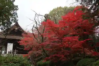園城寺（三井寺）(滋賀県)