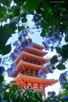 高幡不動尊 金剛寺の塔