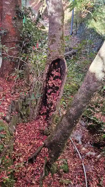 大原寺勝林院(京都府)