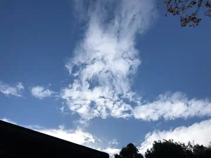 秩父今宮神社の自然