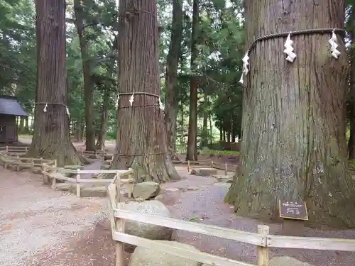 河口浅間神社の庭園