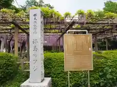 日吉神社の建物その他