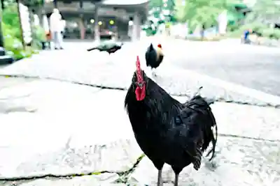 楽法寺（雨引観音）(茨城県)
