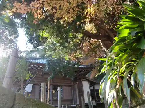 安國論寺（安国論寺）(神奈川県)