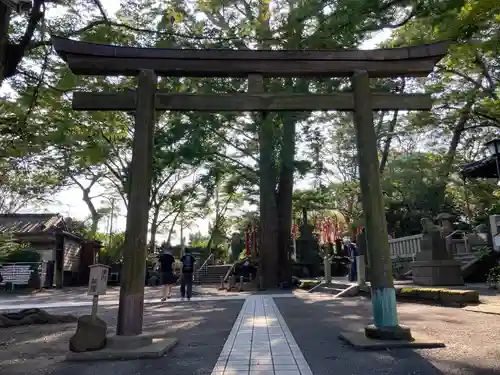 亀岡八幡宮（亀岡八幡神社）の鳥居