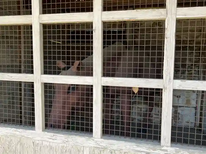 八剱神社(八剣神社)(岐阜県)