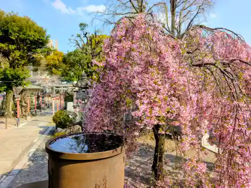 千住神社の{uncategorized: "未分類", other: "その他", undefined: "問題あり", building: "その他建物", grave: "お墓", sacred_gate: "鳥居", guardian: "狛犬", statue: "像", buddha: "仏像", history: "歴史", nature: "自然", garden: "庭園", animal: "動物", pagoda: "塔", temizu: "手水舎", mountain_gate: "山門・神門", sanctuary: "本殿・本堂", subordinate: "末社・摂社", art: "芸術", scenery: "景色", jizo: "地蔵", ema: "絵馬", goshuin: "御朱印", omikuji: "おみくじ", items: "授与品その他", amulet: "お守り", goshuincho: "御朱印帳", eats: "食事", festival: "お祭り", votive_dance: "神楽", shichigosan: "七五三参", wedding: "結婚式", experience: "体験その他", initially: "初詣", around: "周辺", anti_infection: "感染症対策"}