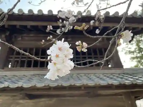 伊勢の国 四天王寺(三重県)