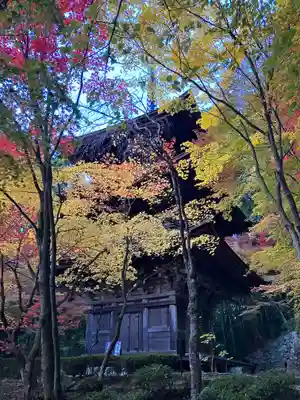 金剛輪寺(滋賀県)
