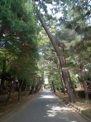 豪徳寺(東京都)