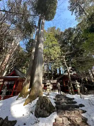三峯神社の自然