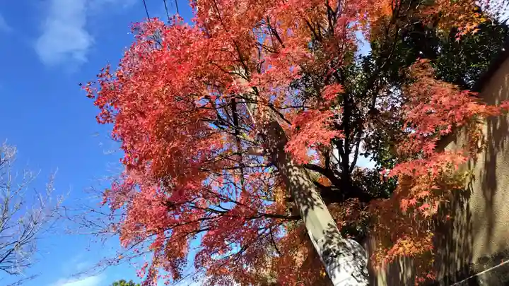 霊源院(京都府)