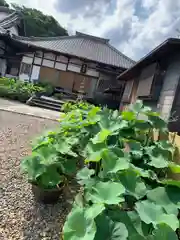 海岸寺(愛知県)