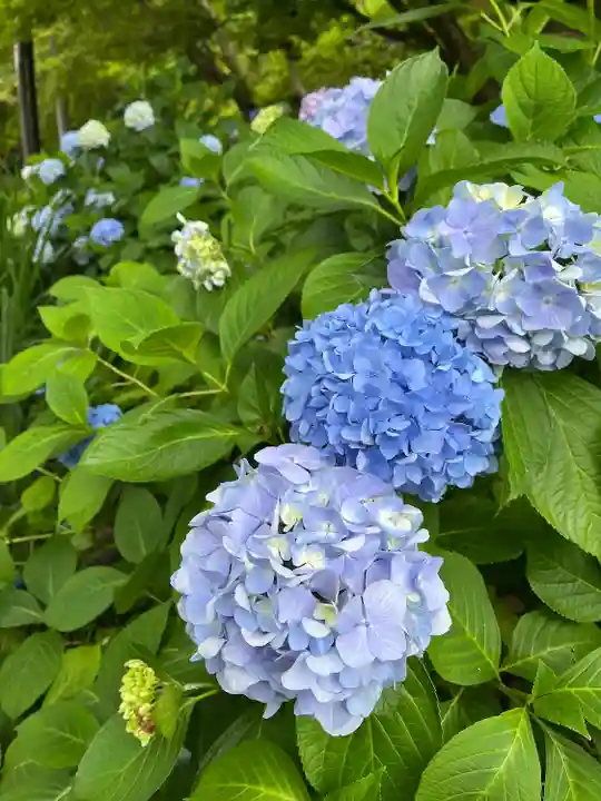 石清水八幡宮(京都府)