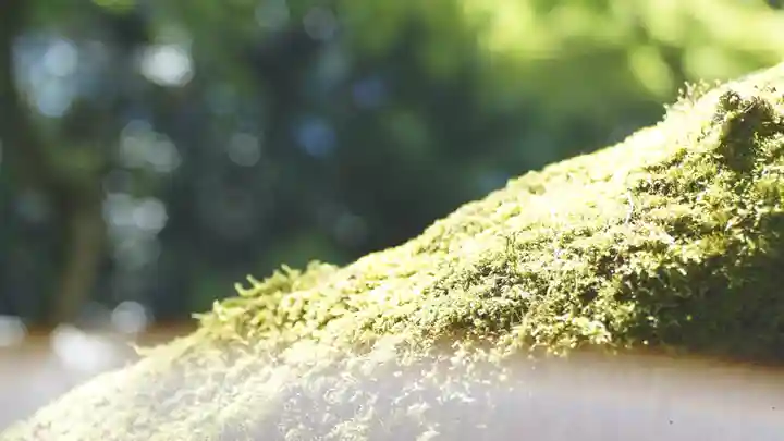 詩仙堂(丈山寺)(京都府)