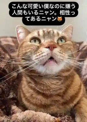 専念寺(大阪府)