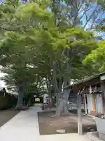 乃木神社(北海道)