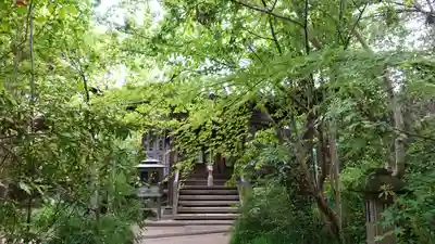 浄瑠璃寺(愛媛県)