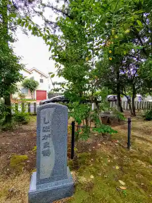 大井神社(如意)の自然
