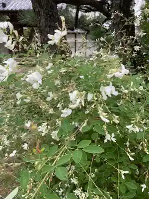 奥田山 安楽寺(愛知県)