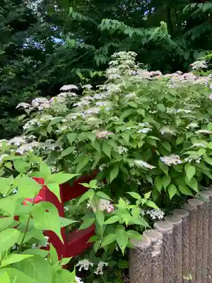 釜八幡神社(栃木県)