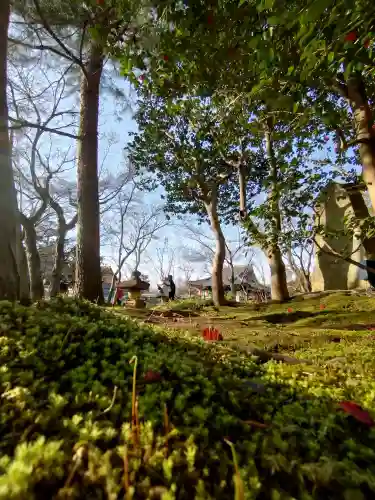 高台寺（高台寿聖禅寺・高臺寺）(京都府)