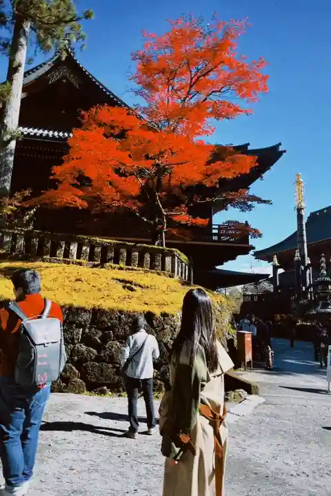 日光二荒山神社(栃木県)