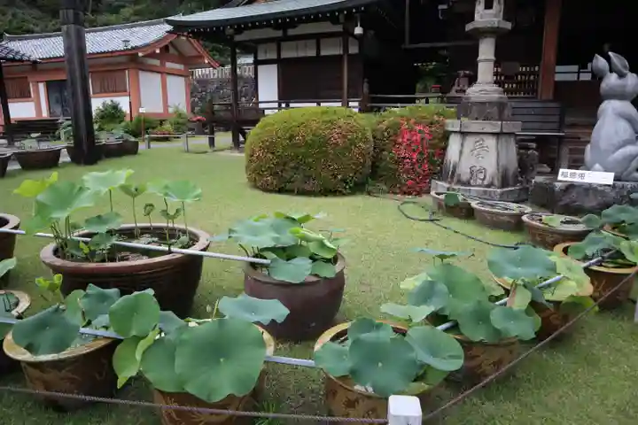 三室戸寺(京都府)