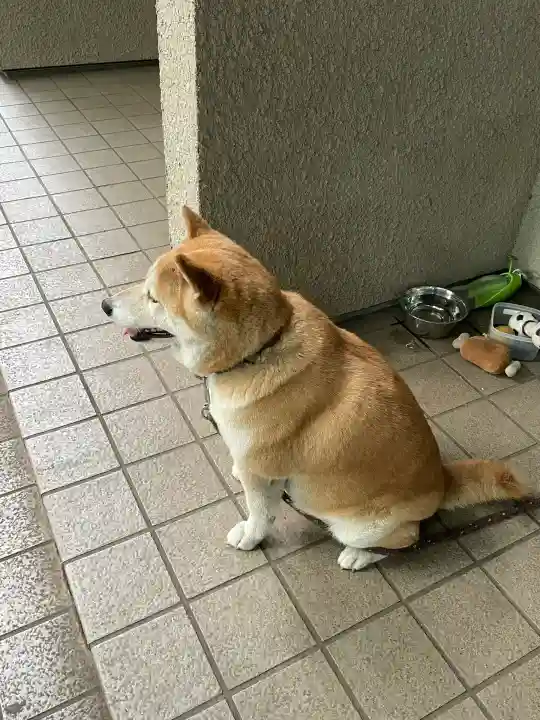 笠䅣稲荷神社(神奈川県)