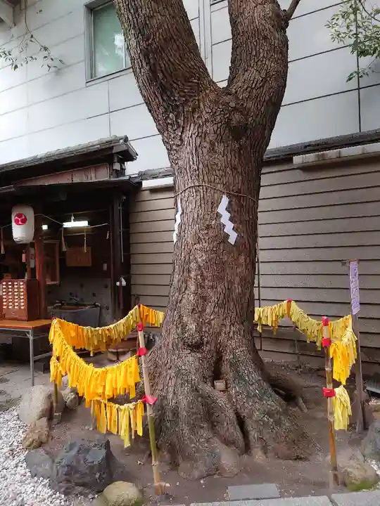 少彦名神社の自然