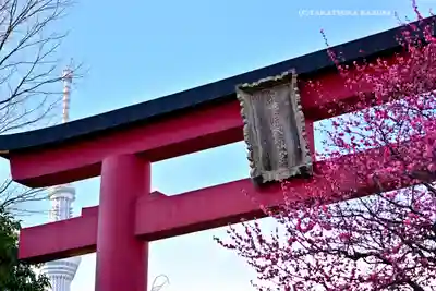 亀戸天神社(東京都)