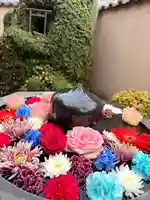 神楽坂安養寺(東京都)