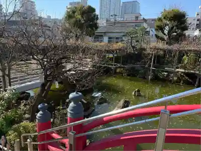 亀戸天神社(東京都)