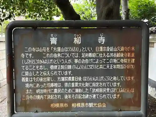 青柳寺(神奈川県)