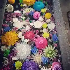 下野 星宮神社の手水