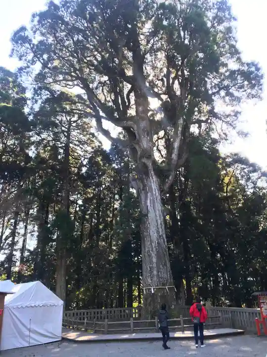 霧島神宮の自然