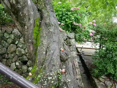 勝尾寺のその他建物