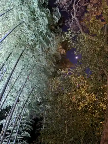 青蓮院門跡(京都府)