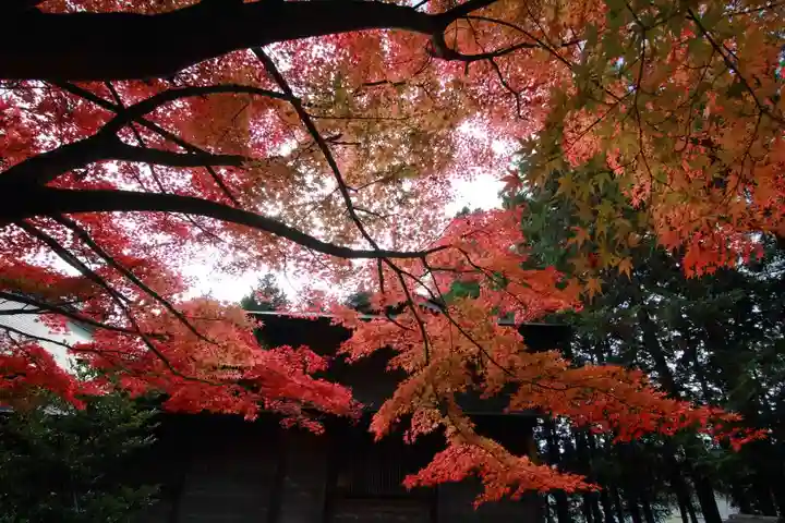 滑川神社 - 仕事と子どもの守り神の自然